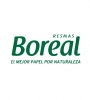 gallery/boreal logo